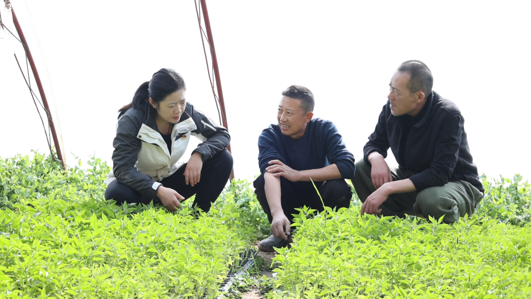 昌吉州三八红旗手闫凯爱岗敬业守初心甘于奉献担使命